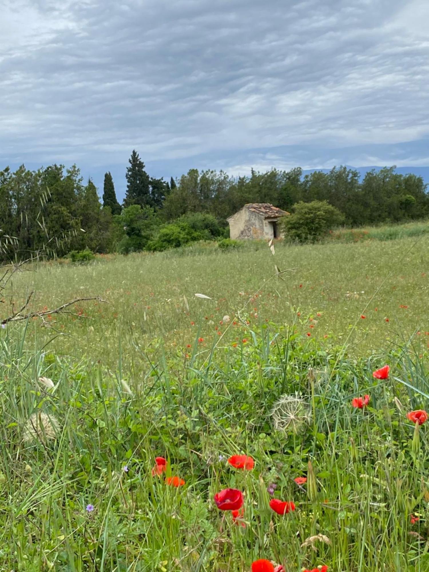 Inspiration Maison Entiere Avec Jardin Pernes-les-Fontaines Eksteriør bilde